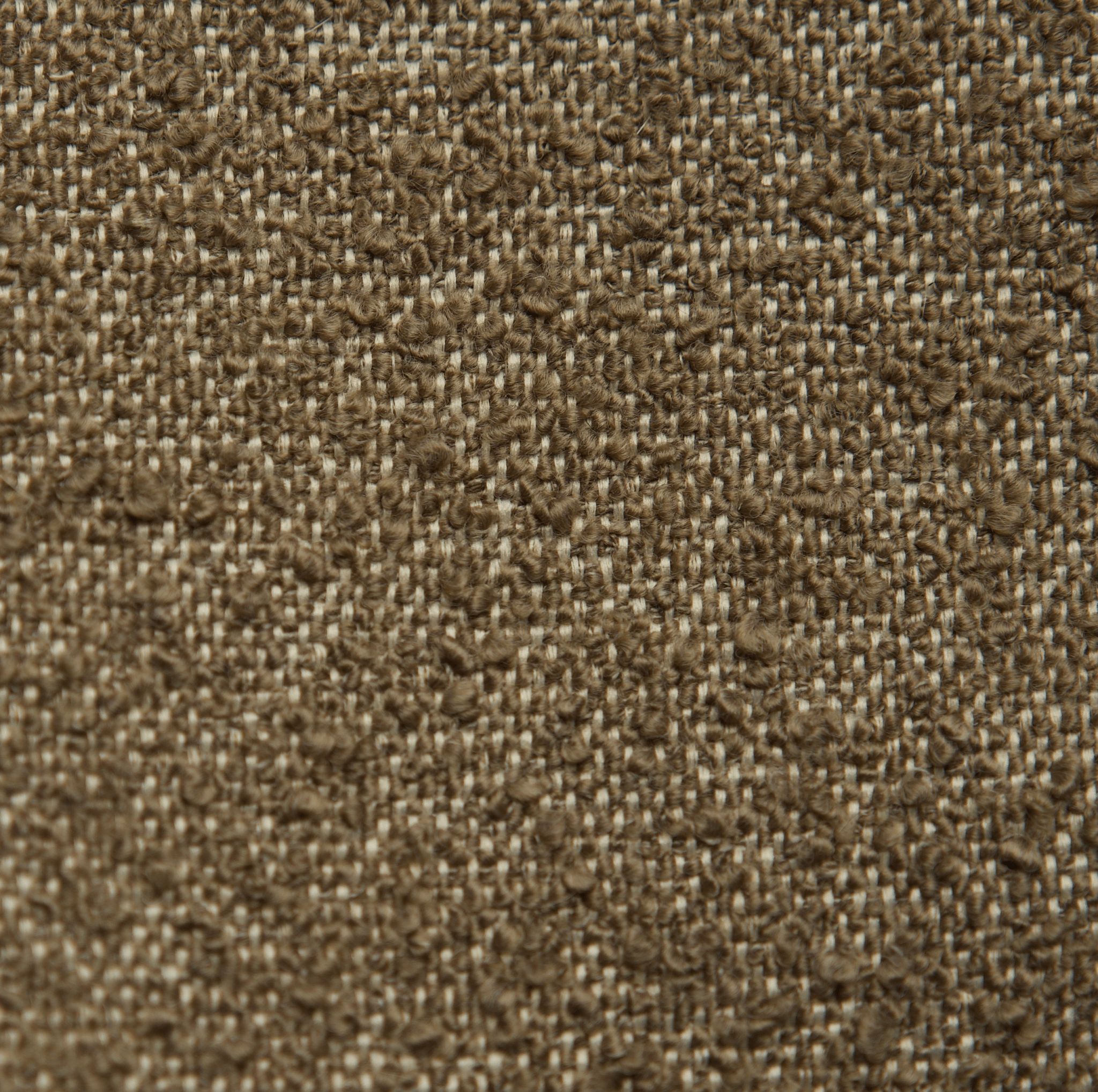 PerformaBoucle Swatch Samples - Plush + Oak (All)