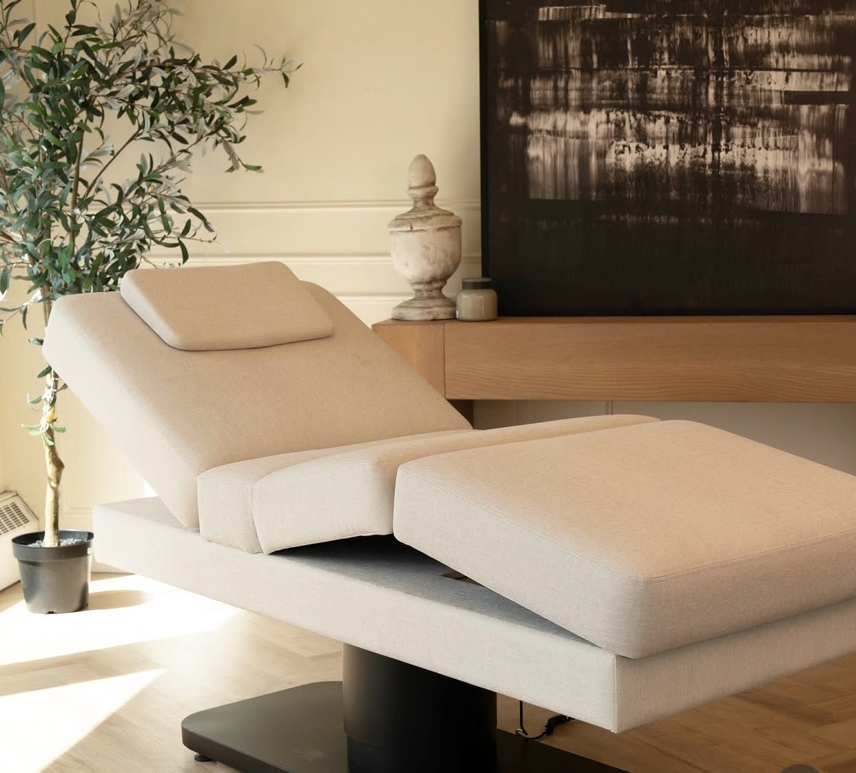 Oxford PMU® 3 - Motor Ergonomic Electric Salon Bed - Plush + Oak (all)