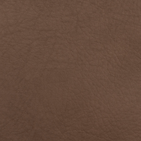 Color Swatches - Cavaletti Vegan Leather - Plush + Oak