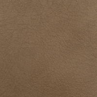 Color Swatches - Cavaletti Vegan Leather - Plush + Oak