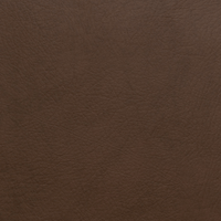 Color Swatches - Cavaletti Vegan Leather - Plush + Oak