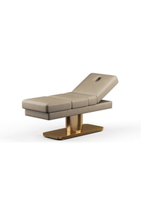 Oxford® 3 - Motor Electric Ergonomic Salon Bed - Plush + Oak